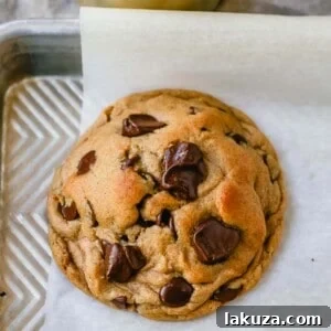 Bakery-Style Autumn Spiced Chocolate Chip Cookies 7 Soft, chewy Fall cookie with dark brown sugar, molasses, cinnamon, ginger, cloves, nutmeg, and chocolate chips for the perfect Autumn cookie. This is the perfect Fall spiced chocolate chip cookie recipe!