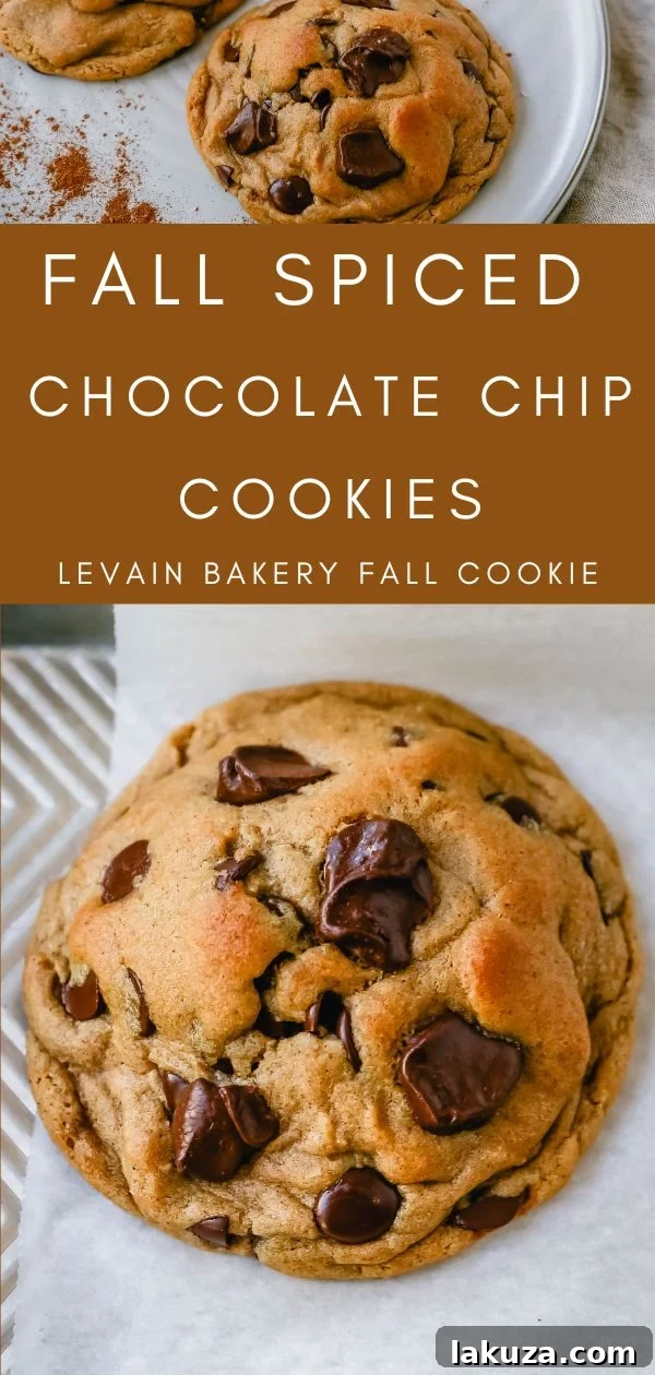 Bakery-Style Autumn Spiced Chocolate Chip Cookies 8 Soft, chewy Fall cookie with dark brown sugar, molasses, cinnamon, ginger, cloves, nutmeg, and chocolate chips for the perfect Autumn cookie. This is the perfect Fall spiced chocolate chip cookie recipe! Ultimate Fall Spiced Cookies.