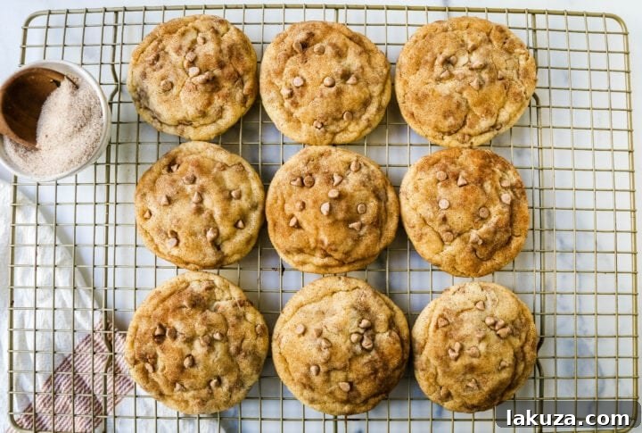 Spiced Cinnamon Chip Cookies 3 Freshly baked Cinnamon Chip Sugar Cookies cooling on a wire rack, showcasing their golden-brown edges and abundance of sweet cinnamon chips.