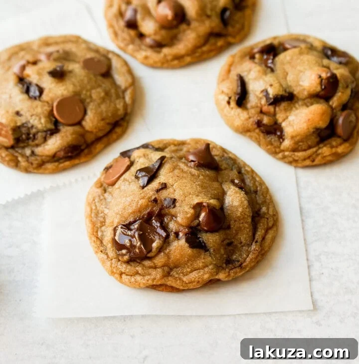 Irresistible Chocolate Chip Cookies 4 A close-up of a perfectly baked chocolate chip cookie with melty chocolate pools.