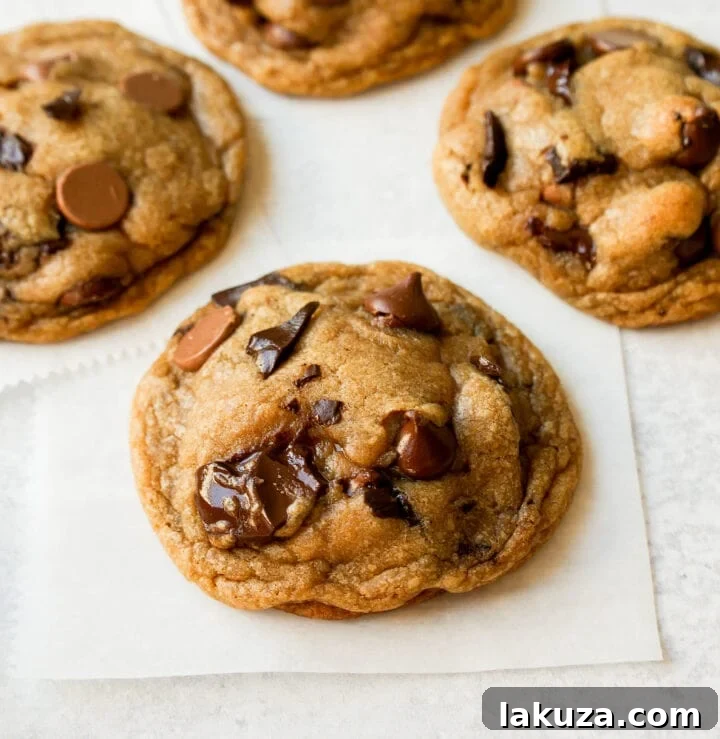 Irresistible Chocolate Chip Cookies 8 Various types of chocolate chips and chunks displayed for baking, emphasizing choice.