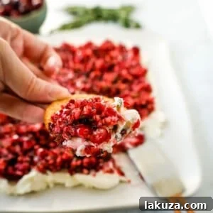 A vibrant and festive Cranberry Jalapeno Cream Cheese Dip, featuring a homemade cranberry salsa over creamy cheese.