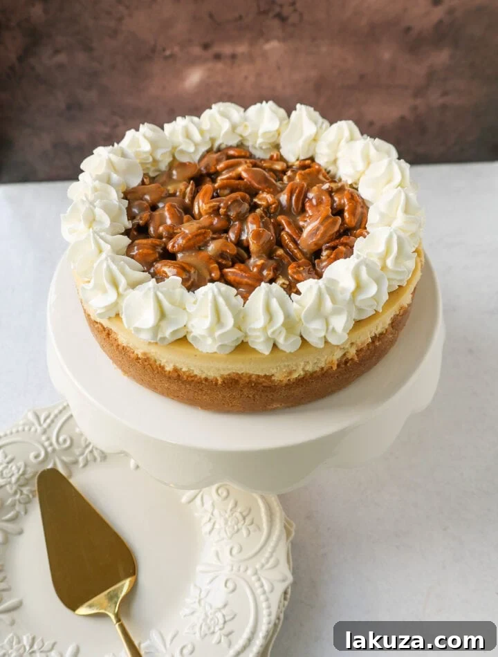 Decadent Southern Pecan Praline Cheesecake, a perfect blend of creamy cheesecake and rich pecan pie flavors, topped with a homemade praline sauce.