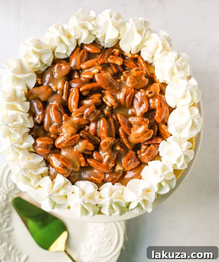 Beautifully presented Thanksgiving Pecan Praline Cheesecake, showcasing a slice with creamy filling and rich pecan topping.