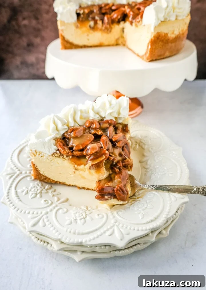 Pecan Praline Cheesecake: Rich, creamy homemade cheesecake topped with decadent brown sugar pecan praline sauce, combining pecan pie and cheesecake.