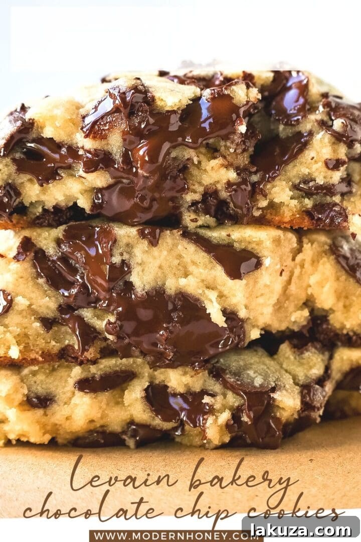 A warm, freshly baked Levain Bakery Two Chip Chocolate Chip Cookie, showcasing its rich chocolate and signature thick, gooey center. The ultimate nut-free copycat recipe.