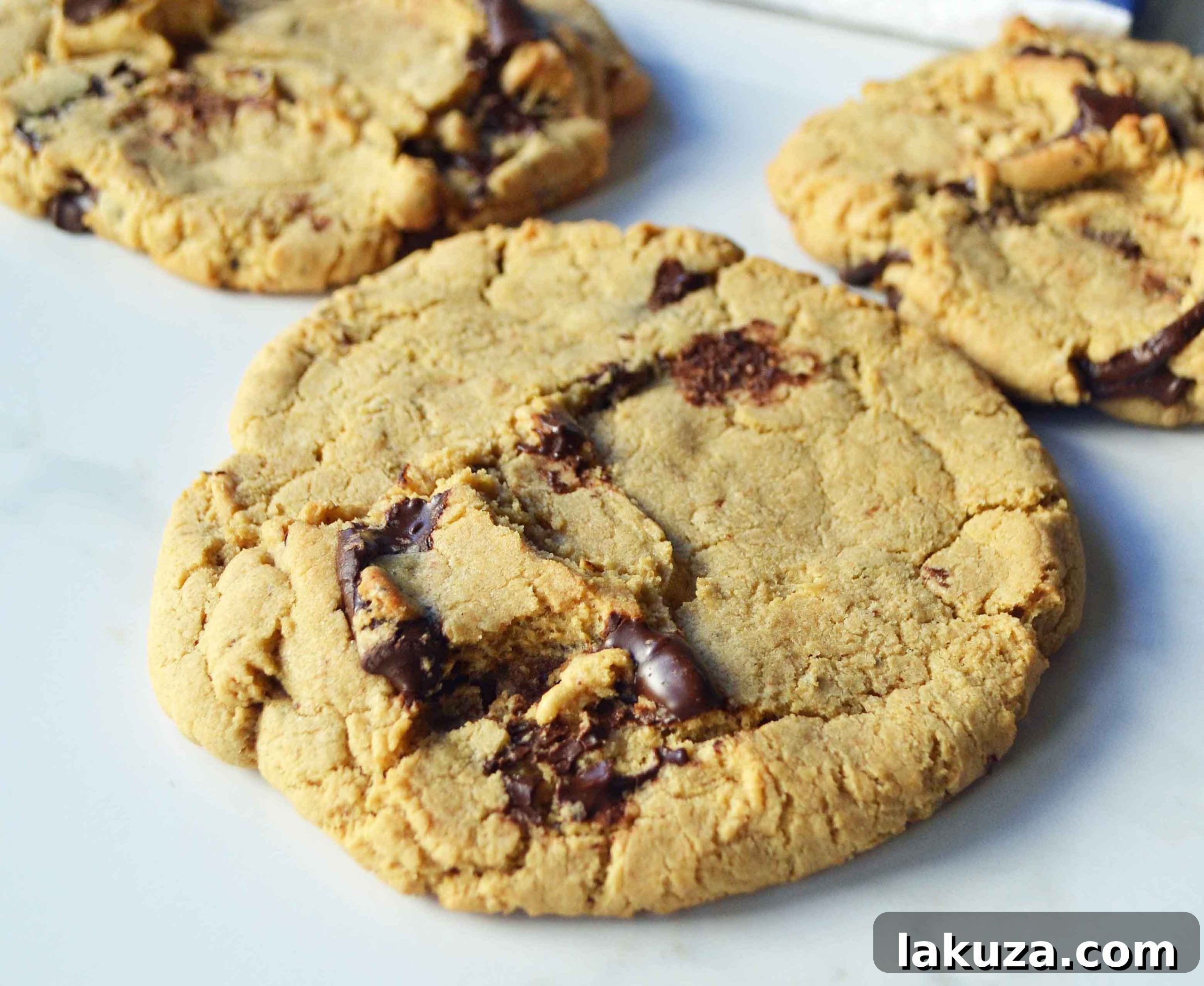 DIY Lenny and Larrys Protein Cookies 4 Array of Lenny and Larry's Protein Cookie Copycats by Modern Honey, showcasing different textures achievable with various protein powders, all delivering 16 grams of protein.