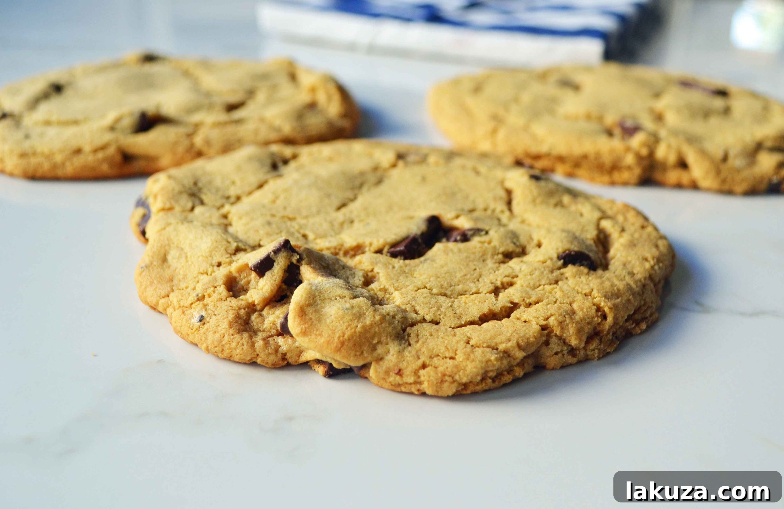 DIY Lenny and Larrys Protein Cookies 6 A single Lenny and Larry's Protein Cookie Copycat, rich in protein and ideal for a healthy snack. Baked to perfection by Modern Honey.