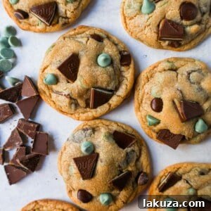 Refreshing Mint Chocolate Chip Delights 7 Soft, Chewy Mint Chocolate Chip Cookies are a classic chocolate chip cookie filled with mint chips, semi-sweet chocolate chips, and Andes chocolate mint chocolates. This is the best mint chocolate chip cookie recipe!