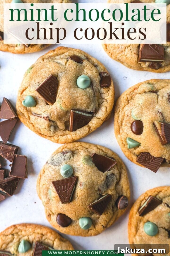 Refreshing Mint Chocolate Chip Delights 8 Soft, Chewy Mint Chocolate Chip Cookies are a classic chocolate chip cookie filled with mint chips, semi-sweet chocolate chips, and Andes chocolate mint chocolates. This is the best mint chocolate chip cookie recipe!