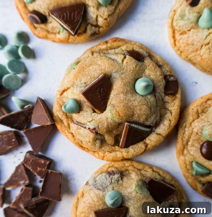 Refreshing Mint Chocolate Chip Delights 3 Soft, Chewy Mint Chocolate Chip Cookies are a classic chocolate chip cookie filled with mint chips, semi-sweet chocolate chips, and Andes chocolate mint chocolates. This is the best mint chocolate chip cookie recipe!