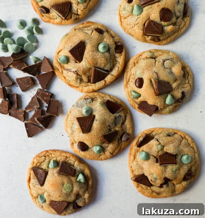 Refreshing Mint Chocolate Chip Delights 4 Soft, Chewy Mint Chocolate Chip Cookies are a classic chocolate chip cookie filled with mint chips, semi-sweet chocolate chips, and Andes chocolate mint chocolates. This is the best mint chocolate chip cookie recipe!