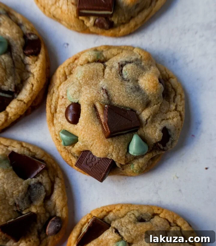 Refreshing Mint Chocolate Chip Delights 5 Soft, Chewy Mint Chocolate Chip Cookies are a classic chocolate chip cookie filled with mint chips, semi-sweet chocolate chips, and Andes chocolate mint chocolates. This is the best mint chocolate chip cookie recipe!