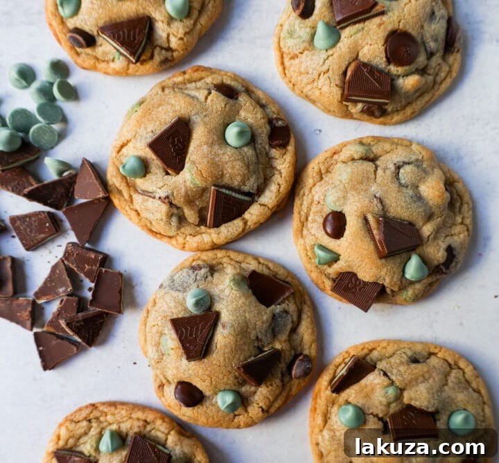 Refreshing Mint Chocolate Chip Delights 6 Soft, Chewy Mint Chocolate Chip Cookies are a classic chocolate chip cookie filled with mint chips, semi-sweet chocolate chips, and Andes chocolate mint chocolates. This is the best mint chocolate chip cookie recipe!