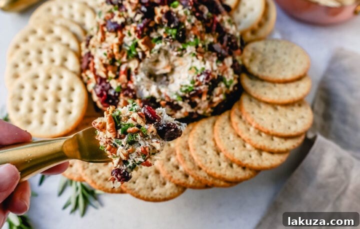 A close-up of the Cranberry Pecan Cheese Ball, showing the delightful texture of the nuts and dried fruit embedded in the cheese.