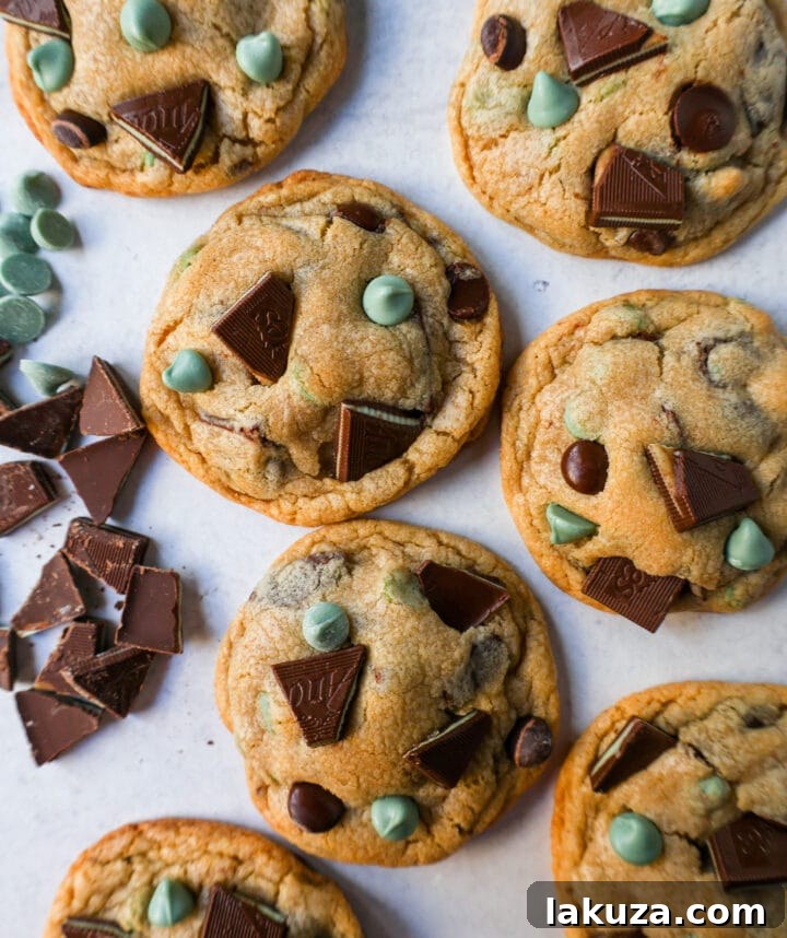 80 Irresistible Christmas Cookie Recipes 11 Soft, Chewy Mint Chocolate Chip Cookies: a classic chocolate chip cookie bursting with mint chips, semi-sweet chocolate, and Andes mints. The ultimate mint chocolate chip cookie!