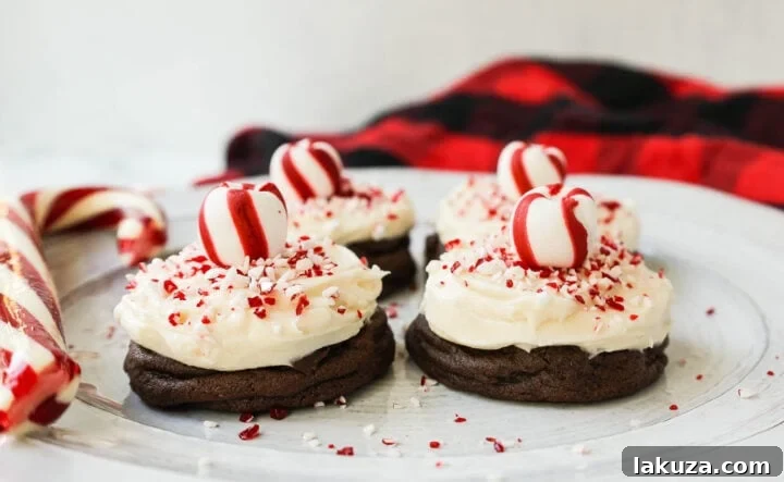 80 Irresistible Christmas Cookie Recipes 32 Frosted Peppermint Chocolate Cookies: soft, decadent chocolate cookies with homemade creamy peppermint frosting and crushed candy canes. A delicious Christmas cookie!