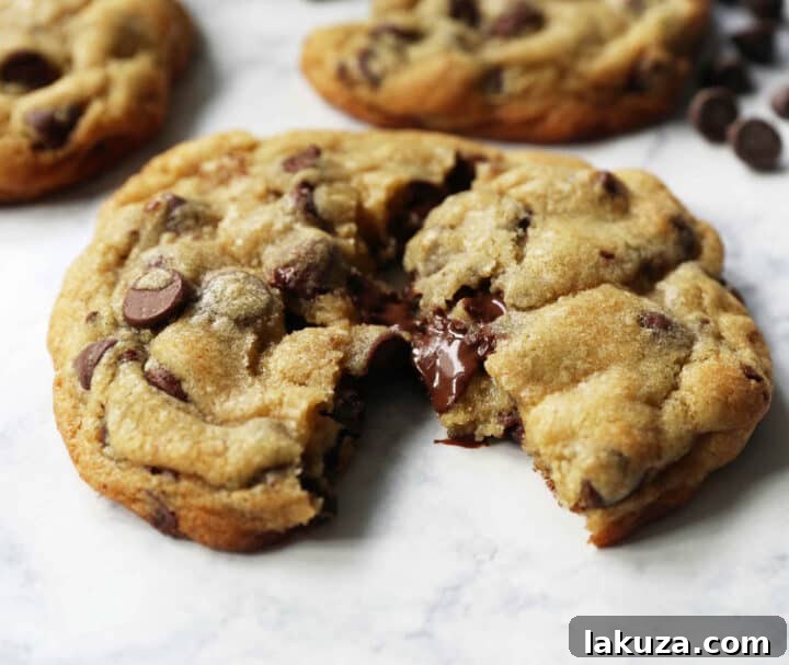 80 Irresistible Christmas Cookie Recipes 37 The Best Chocolate Chip Cookie Recipe. Hands down the most perfect chocolate chip cookies with tips for homemade chewy perfection!