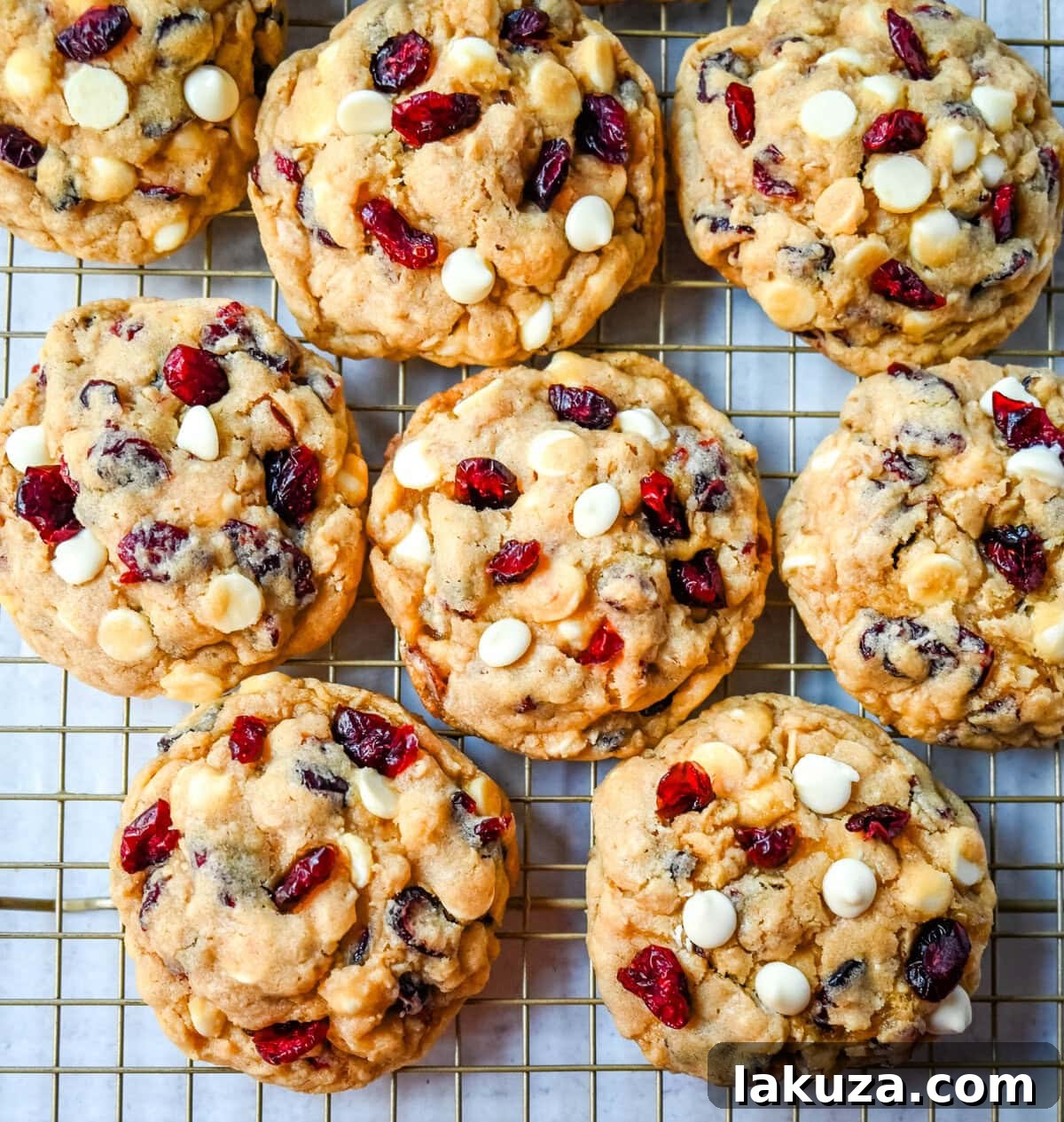 80 Irresistible Christmas Cookie Recipes 38 Oatmeal Cranberry White Chocolate Chip Cookies: soft, chewy, hearty, 5-star rated, with tart dried cranberries and sweet white chocolate chips. The best recipe!