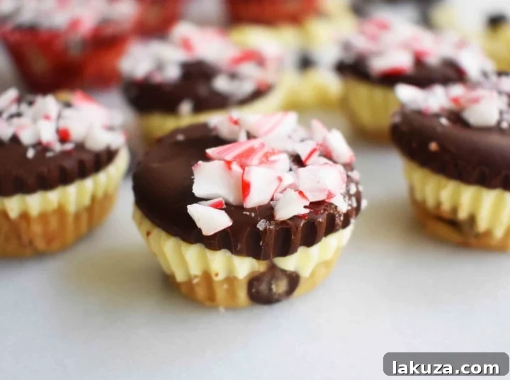 80 Irresistible Christmas Cookie Recipes 43 Peppermint Bark Cookie Dough Cups: Egg-free chocolate chip cookie dough layered with white and semi-sweet chocolate, topped with crushed candy canes. A festive treat!
