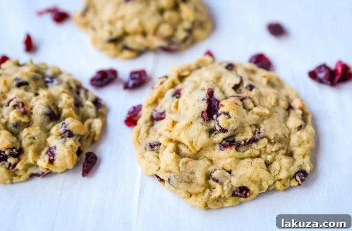 80 Irresistible Christmas Cookie Recipes 45 Cranberry Oatmeal Cookies: soft, chewy brown sugar oatmeal cookies with sweetened dried cranberries. A hearty and beloved oatmeal cookie!