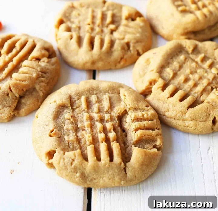 80 Irresistible Christmas Cookie Recipes 49 Soft Chewy Peanut Butter Cookies. The perfect classic peanut butter cookie recipe!