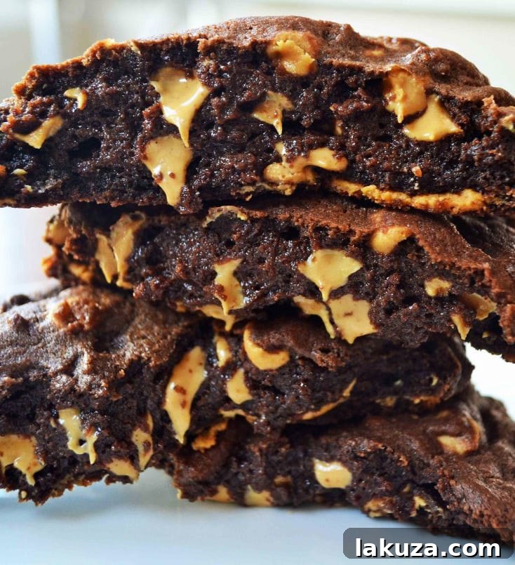 80 Irresistible Christmas Cookie Recipes 59 Levain Bakery Dark Chocolate Peanut Butter Chip Cookie. The best copycat recipe of this famous NYC bakery's chocolate peanut butter chip cookie!