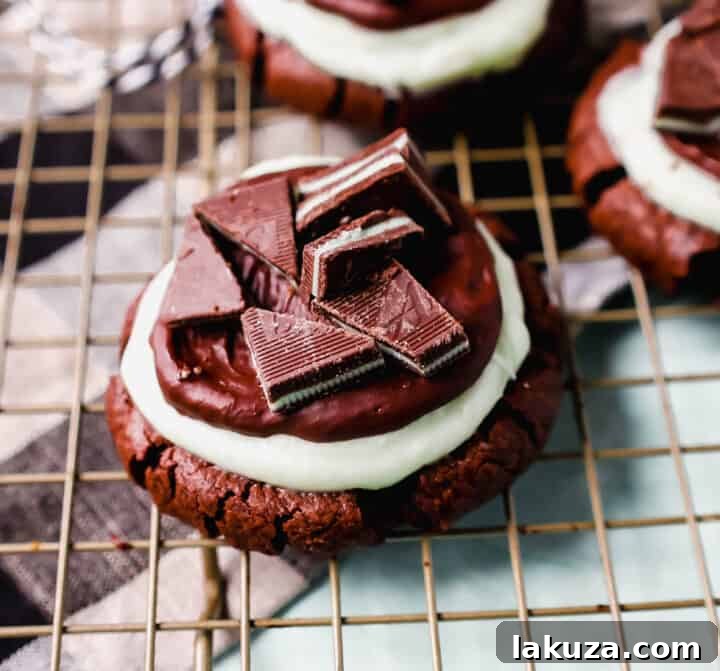 80 Irresistible Christmas Cookie Recipes 7 Frosted Mint Chocolate Brownie Cookies made with a chewy double chocolate cookie base, creamy mint frosting, chocolate ganache, and Andes mints. The ultimate holiday mint chocolate cookie!