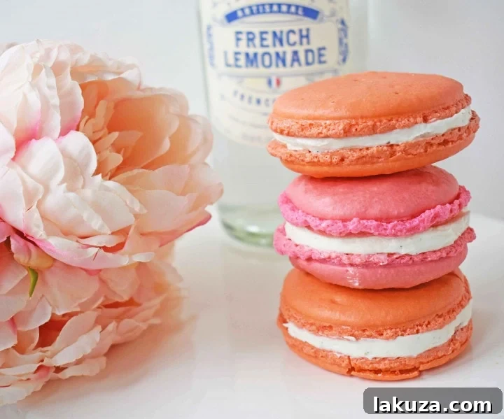 80 Irresistible Christmas Cookie Recipes 69 How to make homemade French Macarons. Step-by-step instructions and tips for these popular, naturally gluten-free French cookies!