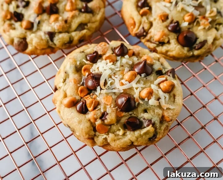 80 Irresistible Christmas Cookie Recipes 77 Magic 7-Layer Butterscotch Chip Cookies: a chewy cookie with crisp edges, butterscotch chips, semi-sweet chocolate, coconut, and pecans. A salty and sweet delight!