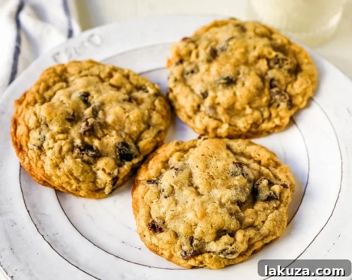 80 Irresistible Christmas Cookie Recipes 79 The Best Oatmeal Raisin Cookies: soft, chewy oatmeal cookies with plump raisins. The best oatmeal cookie recipe on the planet!