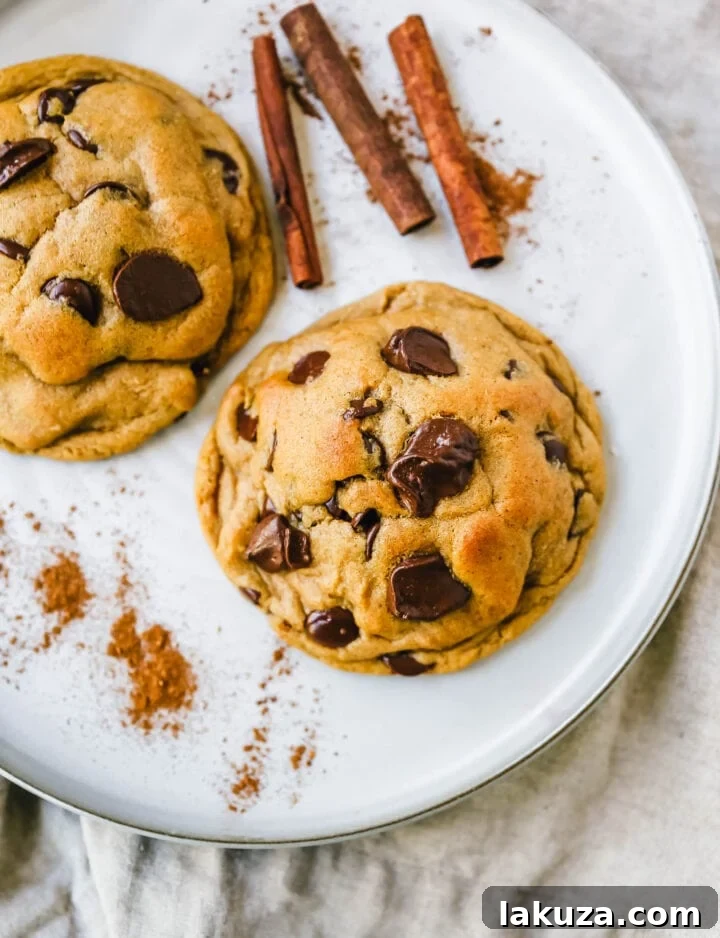 80 Irresistible Christmas Cookie Recipes 80 Chocolate Chip Spiced Cookie: soft, chewy Fall cookie with dark brown sugar, molasses, cinnamon, ginger, cloves, nutmeg, and chocolate chips. The perfect Autumn spiced chocolate chip cookie!