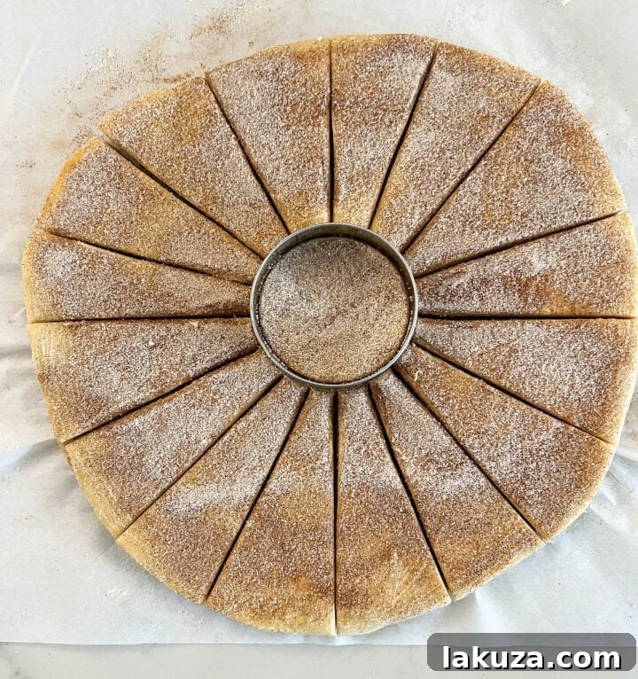 Star Bread Dough with 16 strips twisted and pinched, ready for its final rise and baking.