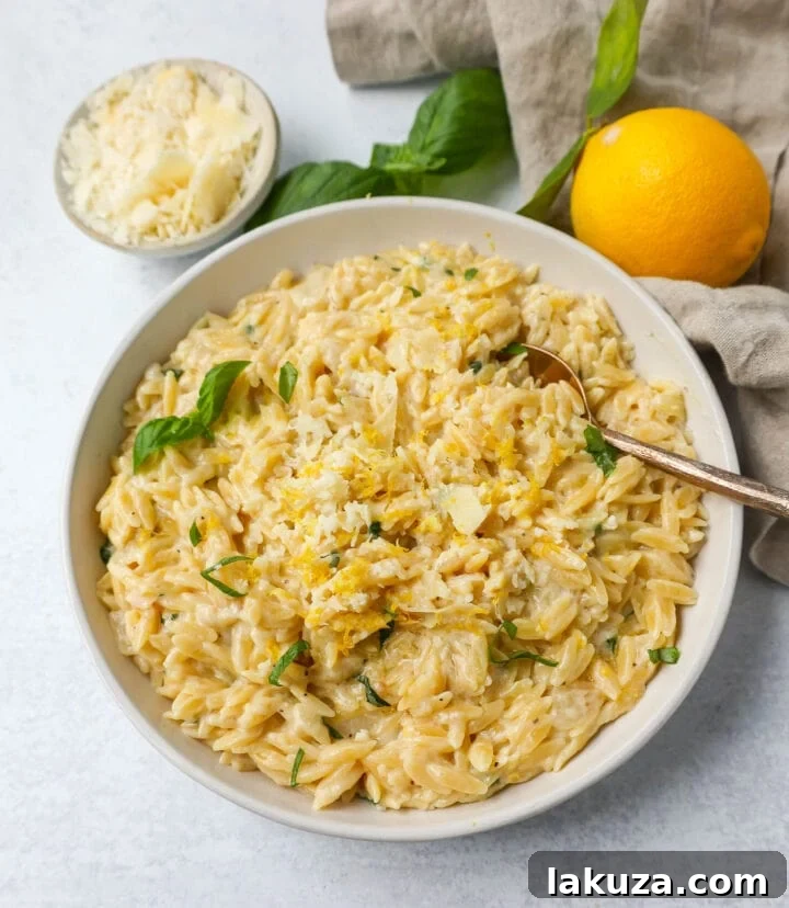 Velvety Lemon Orzo 2 Rich and creamy lemon orzo pasta with fresh basil, served in a bowl, perfect as a side dish.