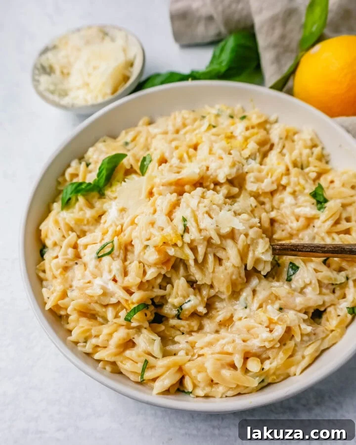 Velvety Lemon Orzo 5 Overhead shot of a bowl of creamy lemon orzo pasta, with fresh basil leaves on top, ready for serving.