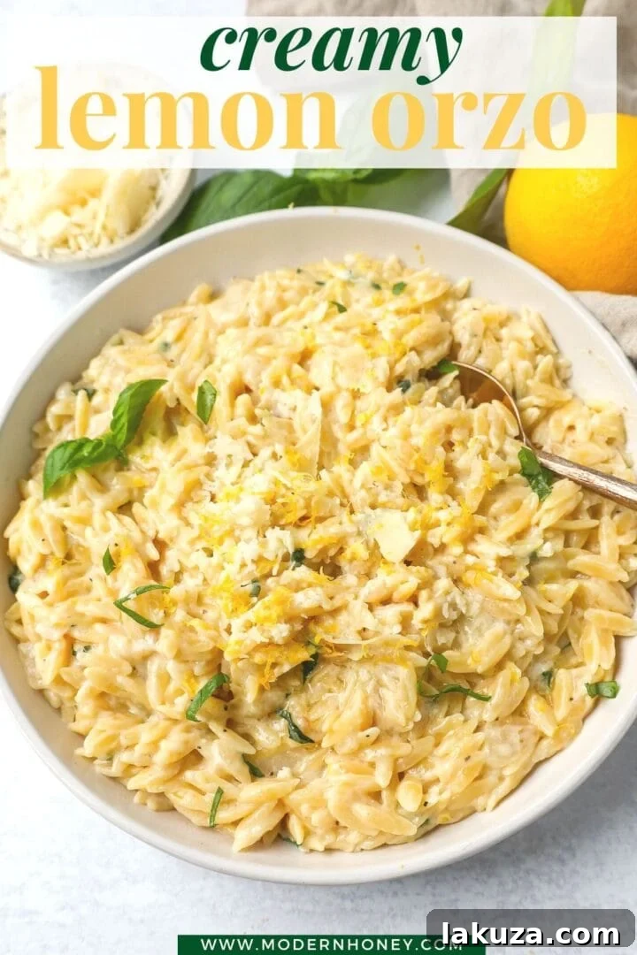 Velvety Lemon Orzo 7 A large serving of creamy lemon orzo, artfully presented with fresh basil and a lemon wedge.