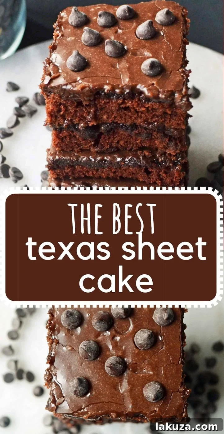 How to make the best chocolate Texas Sheet Cake. Moist chocolate cake with rich chocolate frosting is always a huge hit! Learn more at modernhoney.com