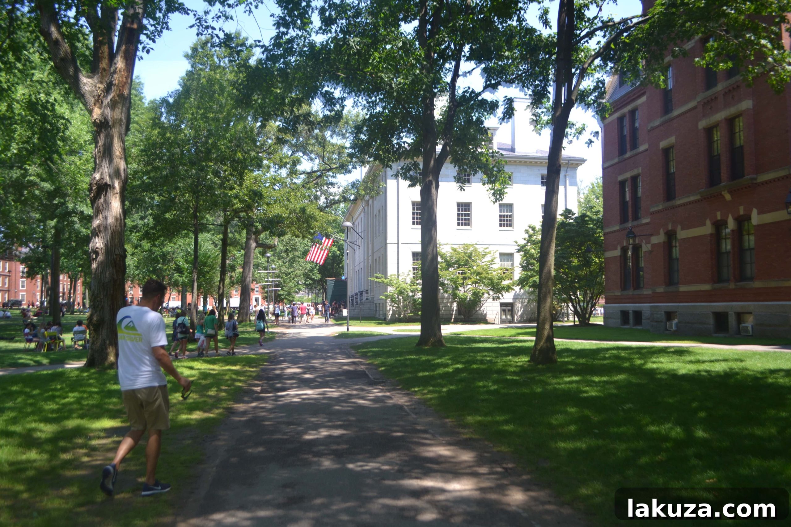 Explore Boston's Flavors and Unforgettable Sights 16 Idyllic autumn scene on the Harvard University campus