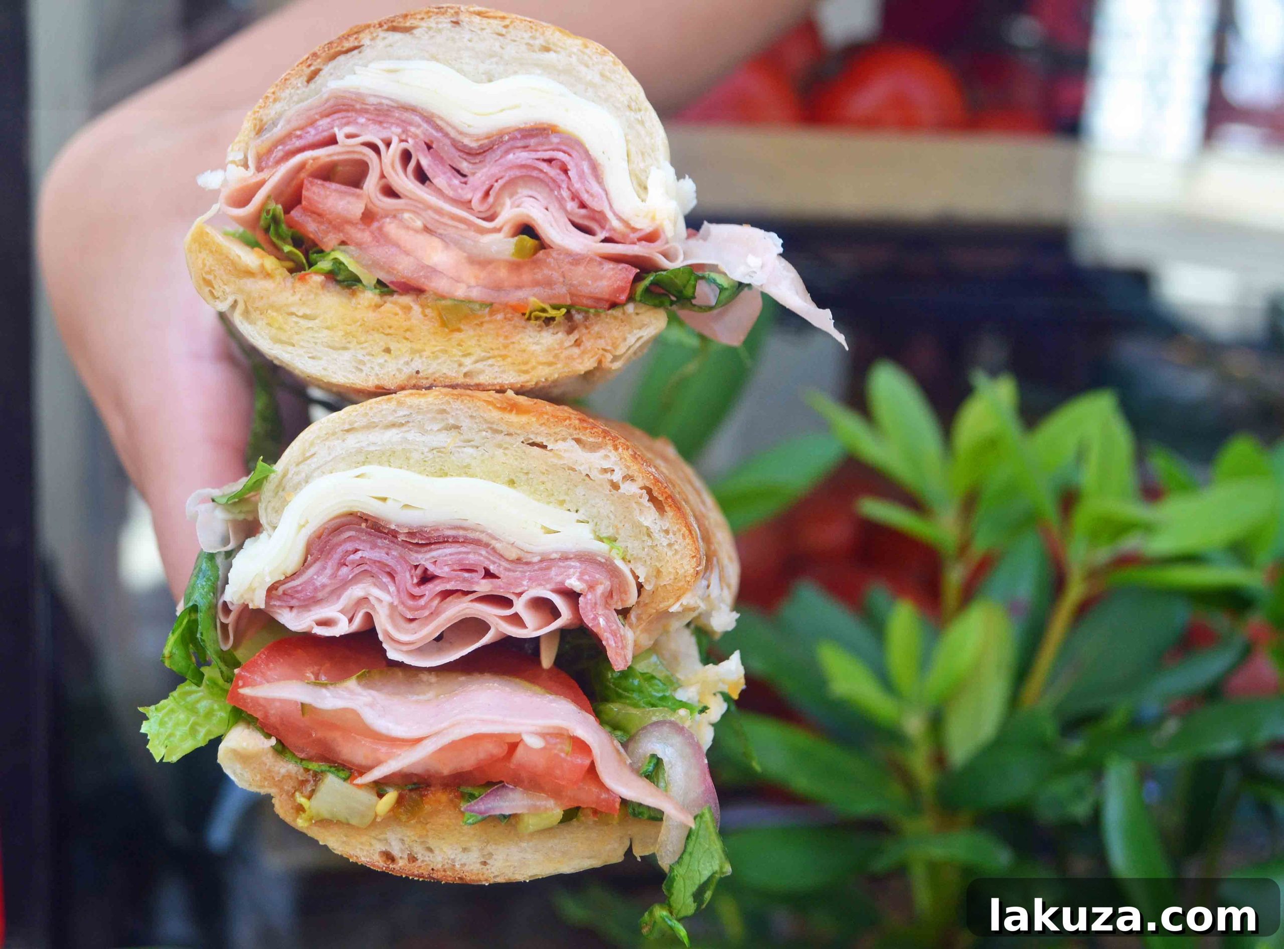 Explore Boston's Flavors and Unforgettable Sights 22 Mouth-watering Italian sub from Monica's Mercato, Boston