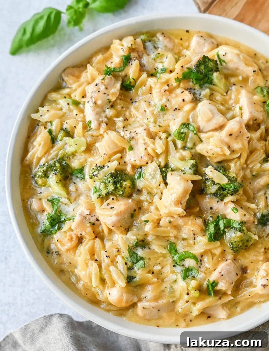 Creamy Chicken and Broccoli Orzo Bake 4 Creamy Chicken Broccoli Orzo made with sauteed chicken, fresh broccoli, orzo pasta in a cheesy sauce. This easy Cheesy Chicken Broccoli Orzo Skillet 30-minute meal is creamy and delicious!