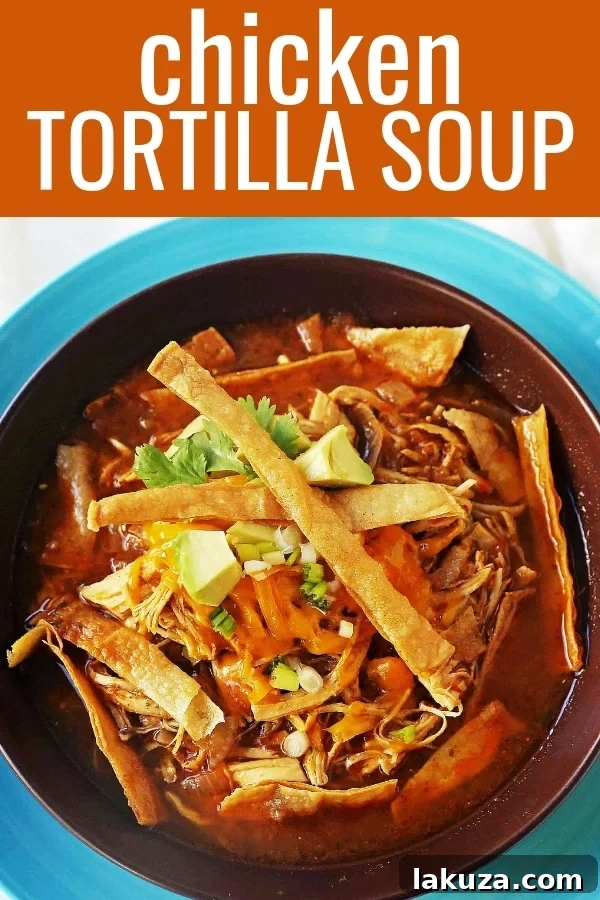 Hearty Chicken Tortilla Soup 8 High-quality image of The Best Homemade Chicken Tortilla Soup Recipe, illustrating a flavorful and easy-to-make chicken soup. Keywords: chicken tortilla soup, tortilla soup, chicken tortilla soup recipe.