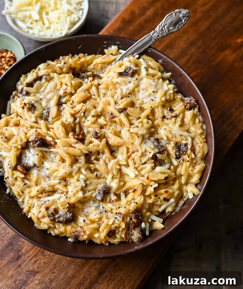 Ingredients laid out for Boursin Cheese Sundried Tomato Orzo: Boursin cheese, orzo, sundried tomatoes, garlic, and fresh basil.