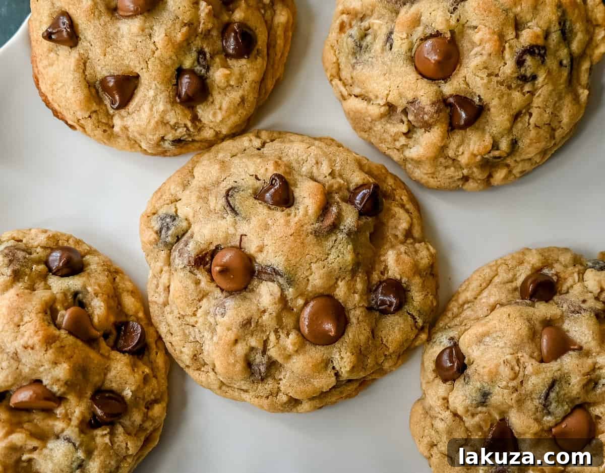 Signature Bakery Oatmeal Chocolate Chip Cookies 3 Close-up of a stack of bakery-style oatmeal chocolate chip cookies, showcasing their thick, chewy texture.