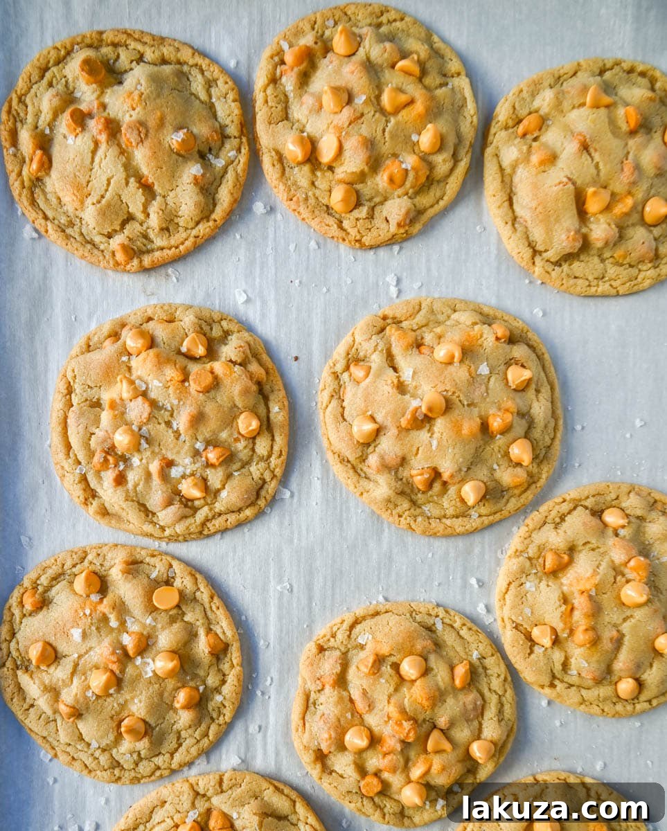 A perfectly baked butterscotch chip cookie with a sprinkle of sea salt, ready to be enjoyed.
