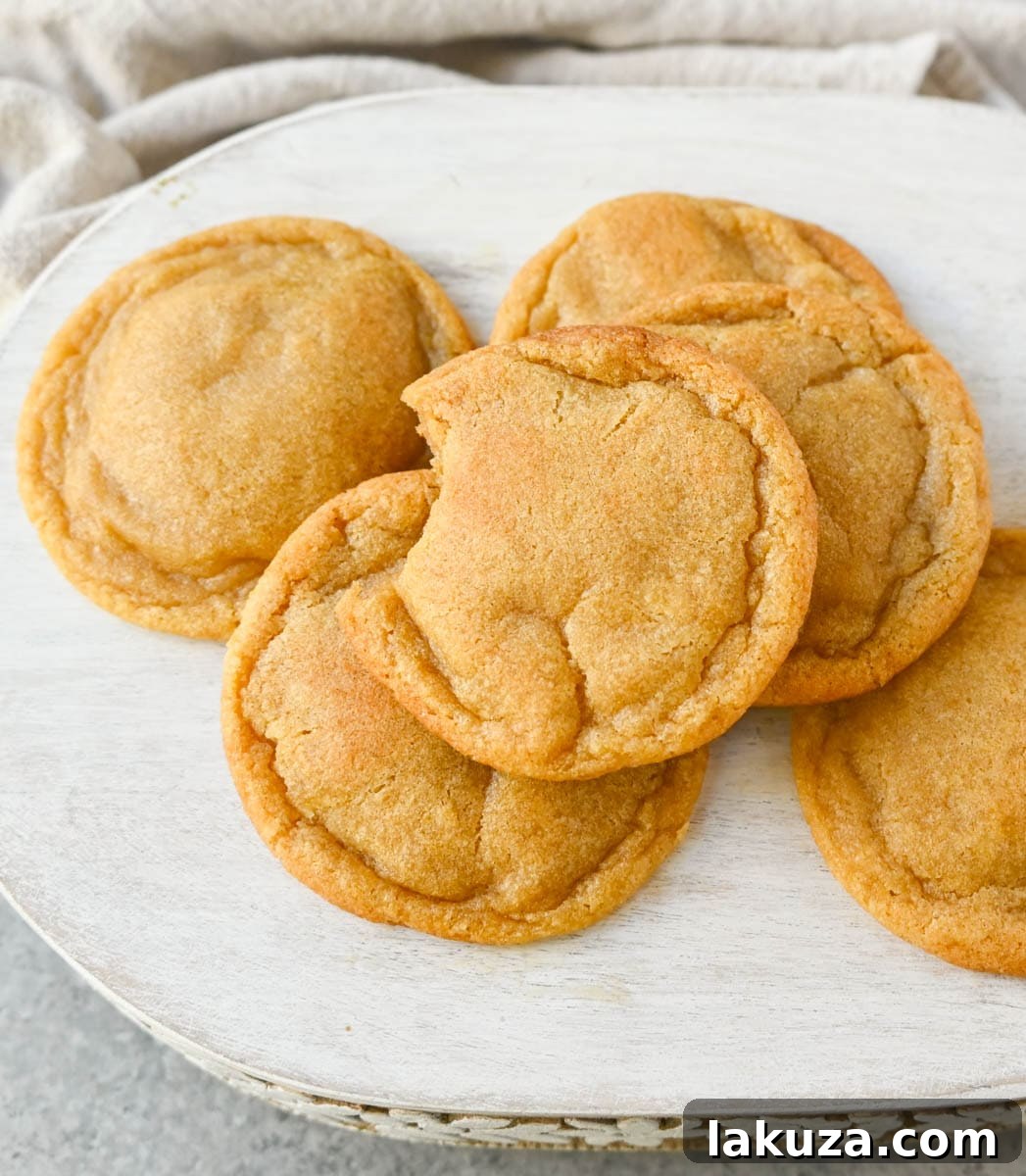 Brown Butter Chocolate Chipless Cookies The Best Brown Butter Chocolate Chipless Cookies: Rich, buttery, soft, and chewy cookies with no chocolate chips. Learn how to brown butter for perfect cookies.