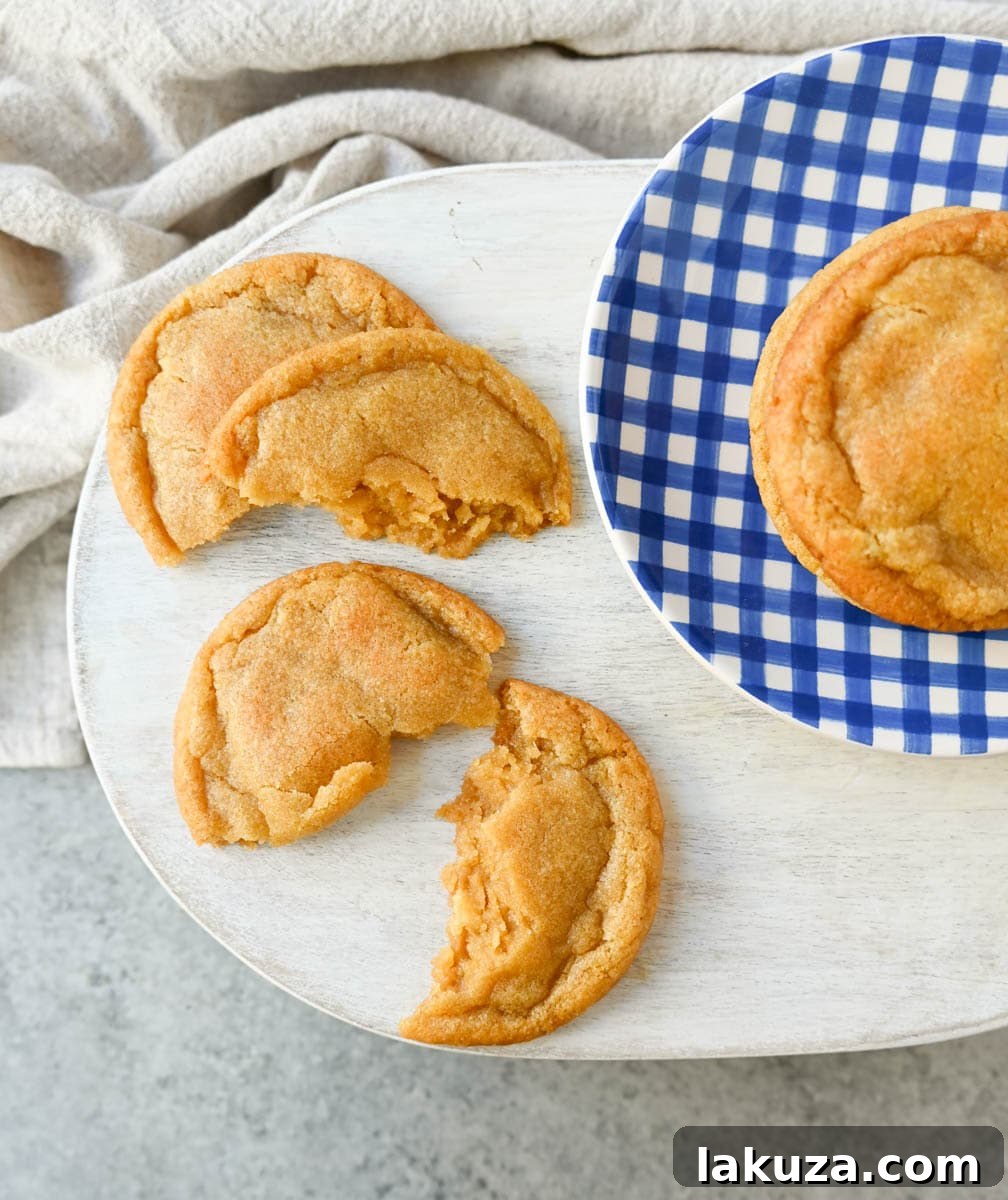 Step-by-Step Guide to Browning Butter Chocolate Chipless Cookies (no chocolate chips). How to make the best brown butter chocolate chipless cookies without chocolate chips. These are rich, buttery, soft, and chewy cookies with no chocolate chips. I will share how to brown butter for perfect cookies.