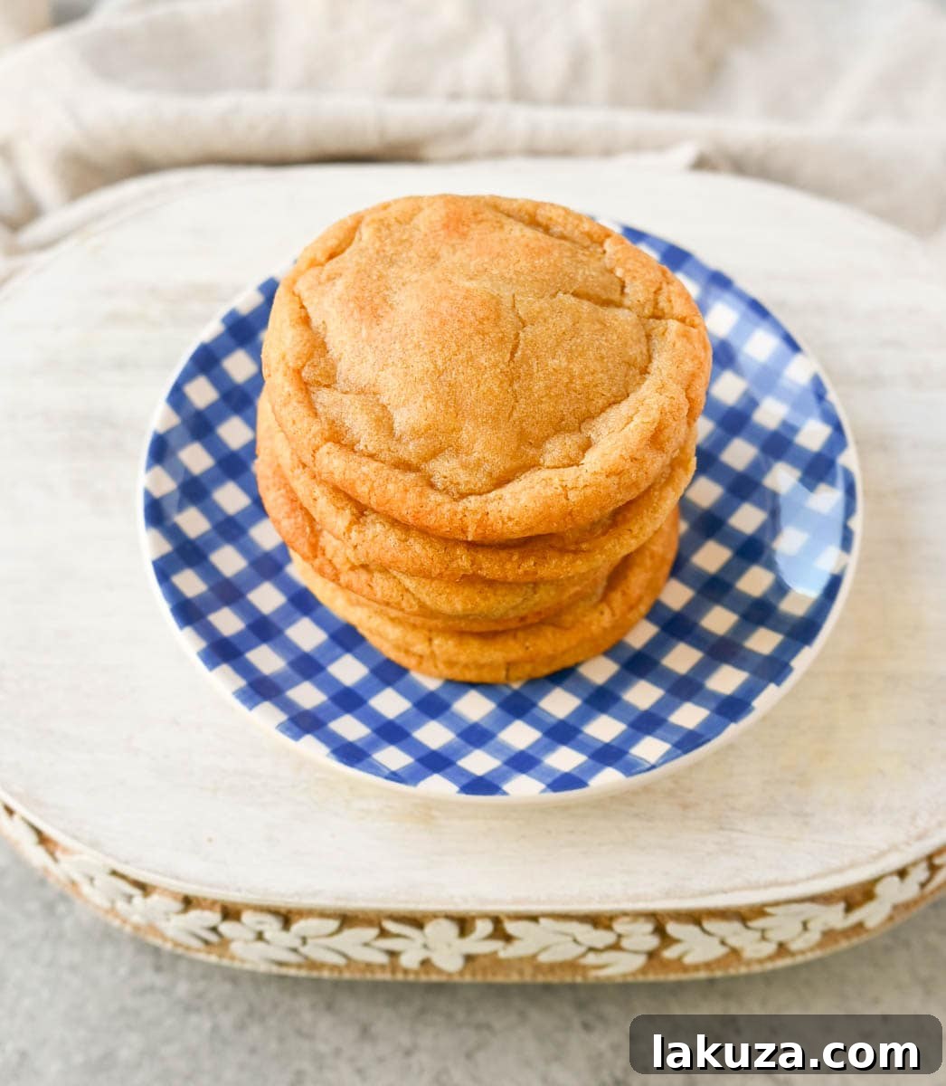 Why Chilling Chipless Cookie Dough is Key Chocolate Chipless Cookies (no chocolate chips). How to make the best brown butter chocolate chipless cookies without chocolate chips. These are rich, buttery, soft, and chewy cookies with no chocolate chips. I will share how to brown butter for perfect cookies.