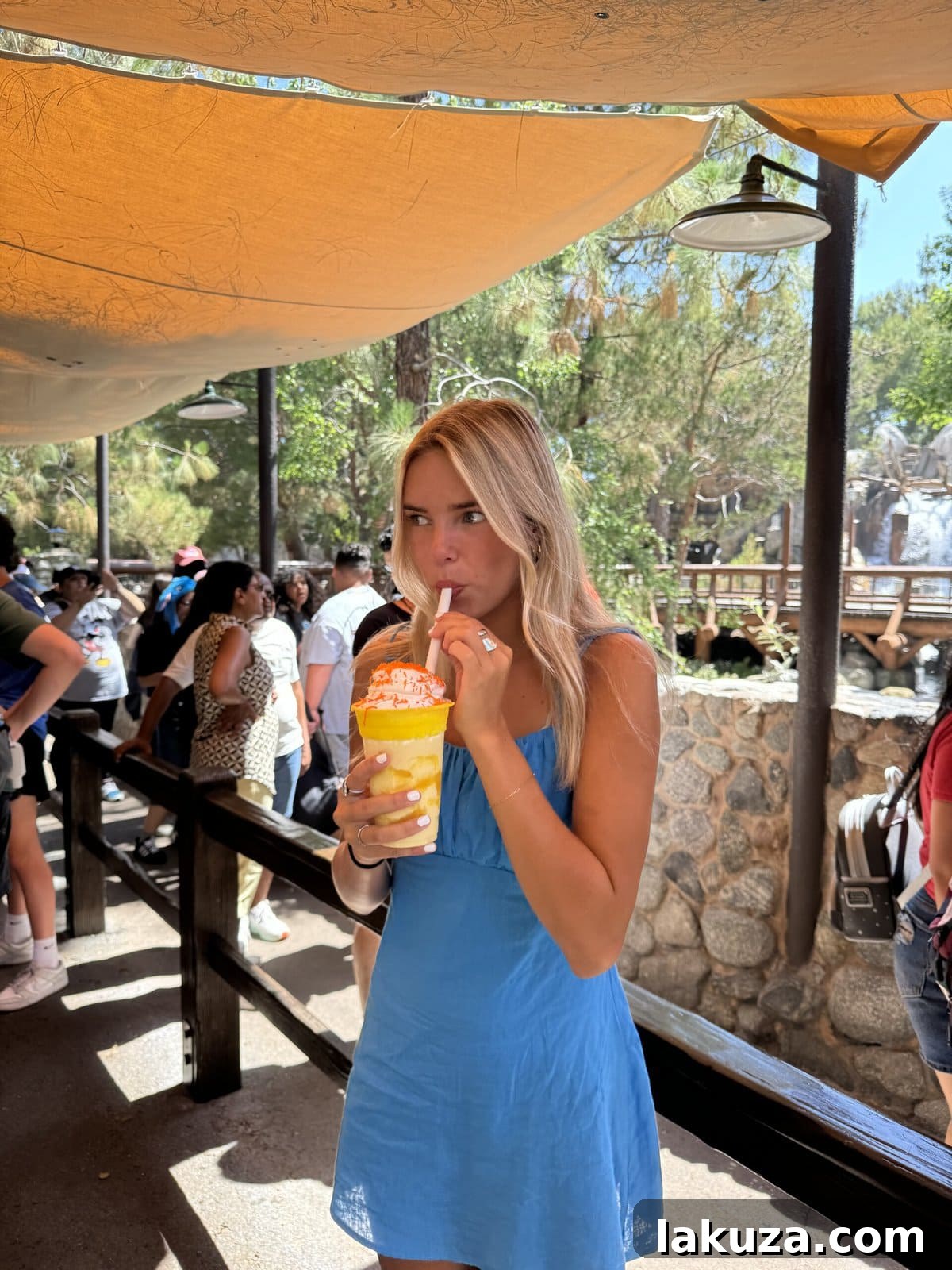 A delicious savory snack from California Adventure, perfect for park adventures