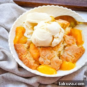 This Homemade Nectarine Cobbler is made with fresh nectarines tossed in sugar and topped with a golden, buttery crust and served warm with vanilla bean ice cream. This is the best nectarine cobbler recipe!