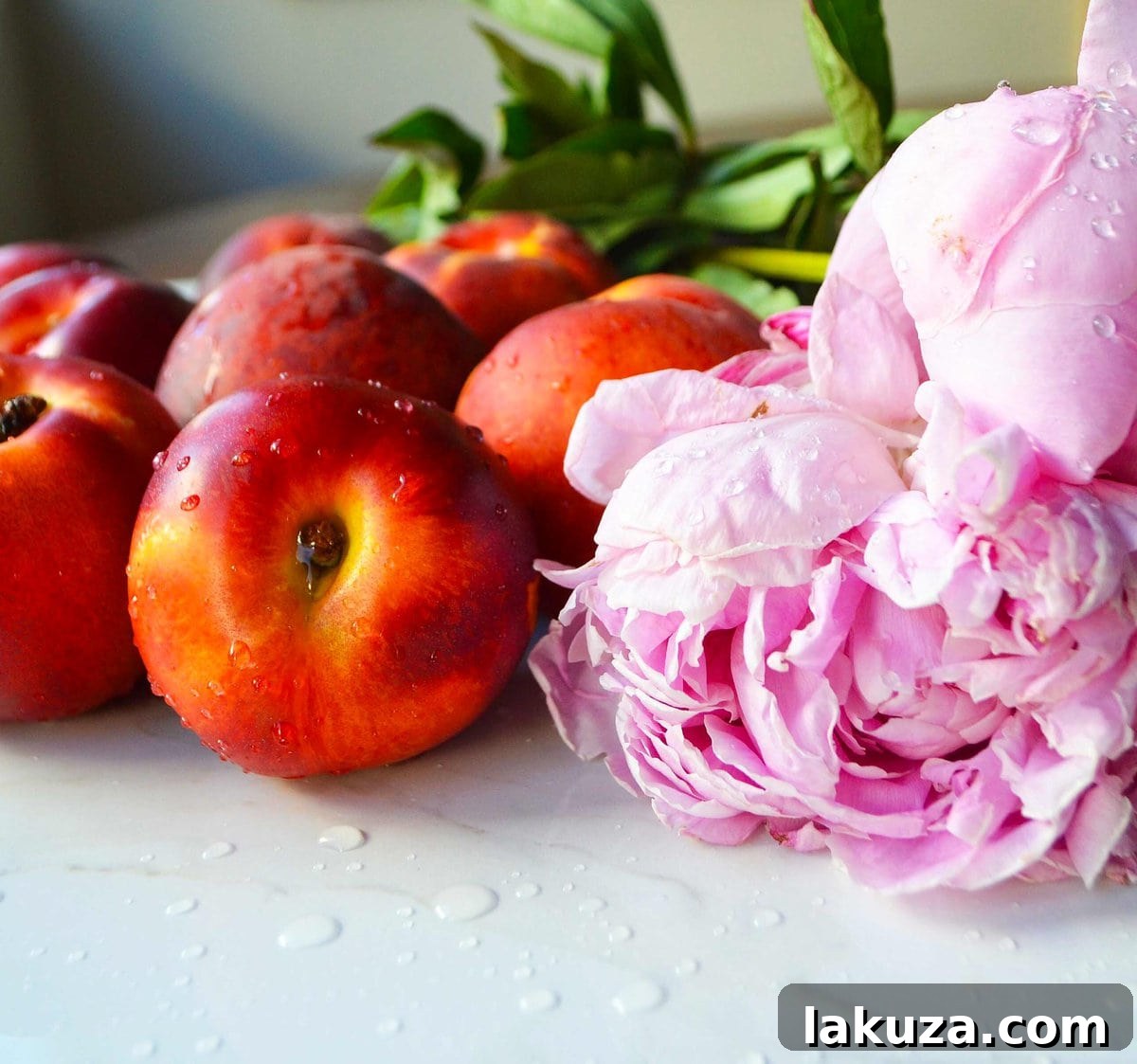 Fresh nectarines and vibrant pink peonies, symbolizing the fresh, seasonal ingredients used in a homemade nectarine cobbler.
